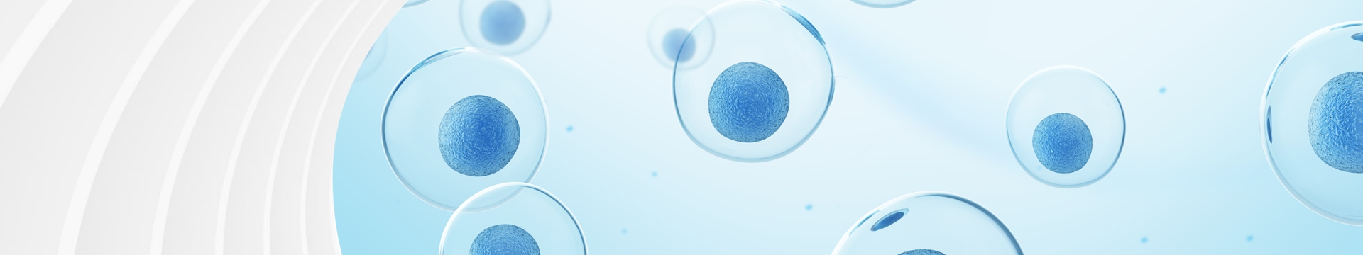 Cell Enumeration