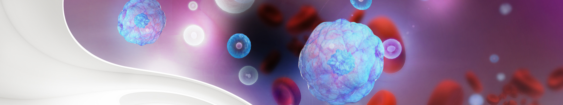 Cell Enrichment